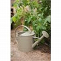 Watering Can - Gooseberry